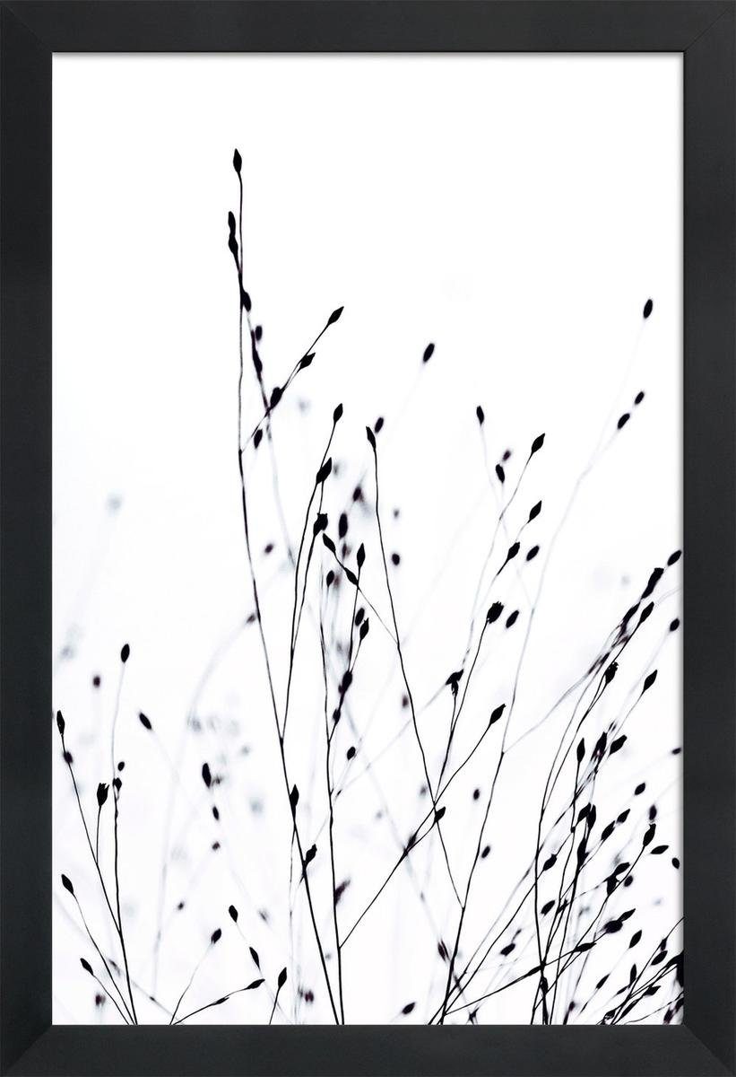 Juniqe Poster Poster mit Rand Holzrahmen, breiten, Strigel in (1 cm Galeriequalität Fine-Art-Print weißen 1 St), Monika einem mit