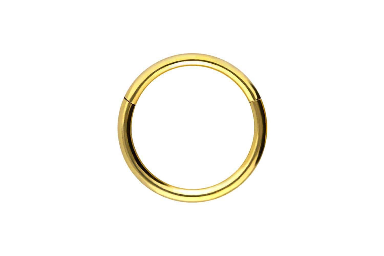 PIERCINGLINE Nasenpiercing Titan Segmentring Clicker Ohrpiercing Septum Nas günstig online kaufen