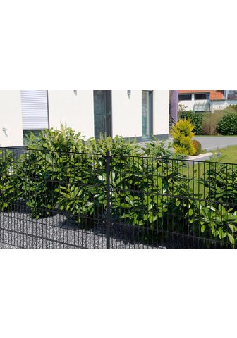 HOME DELUXE Забор 120 cm hoch 9 Matten для 6 m Заб...