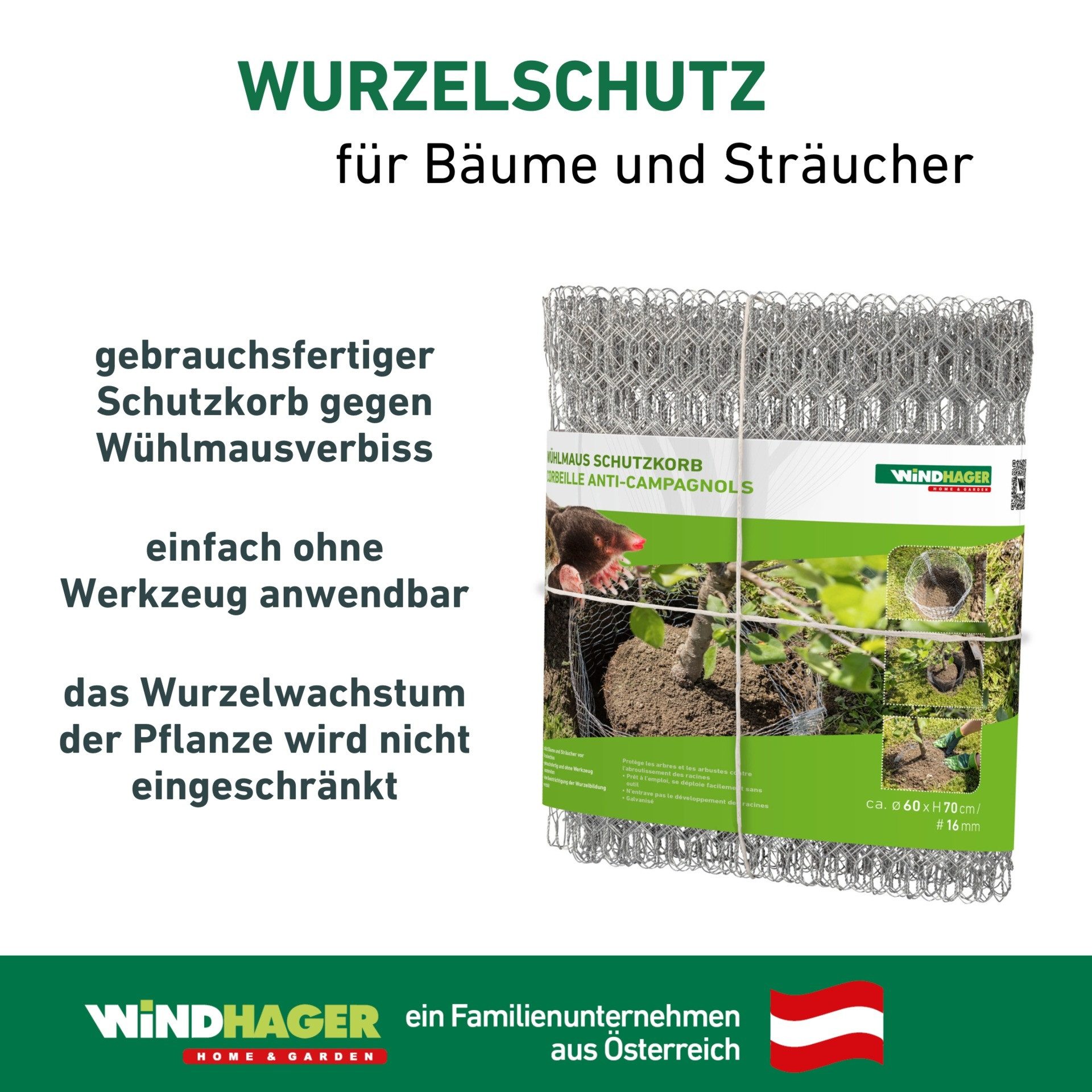 Windhager Mäusegitter Wühlmaus Schutzkorb gegen Wurzelverbiss durch Wühlmäuse, 35x35x40 cm, 1-St., Ø 35 cm, Höhe 40 cm, verzinkt