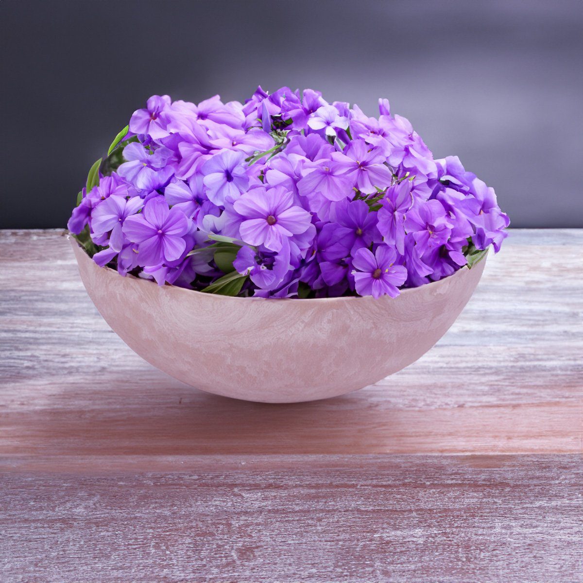 matches21 HOME & HOBBY Blumentopf Pflanzschale für draussen Dekoschale rund alt-rosa marmoriert 20 cm (1 St), Blumen-Schale als wetterfeste Friedhof-Schale Grab-Schmuck Grabschale