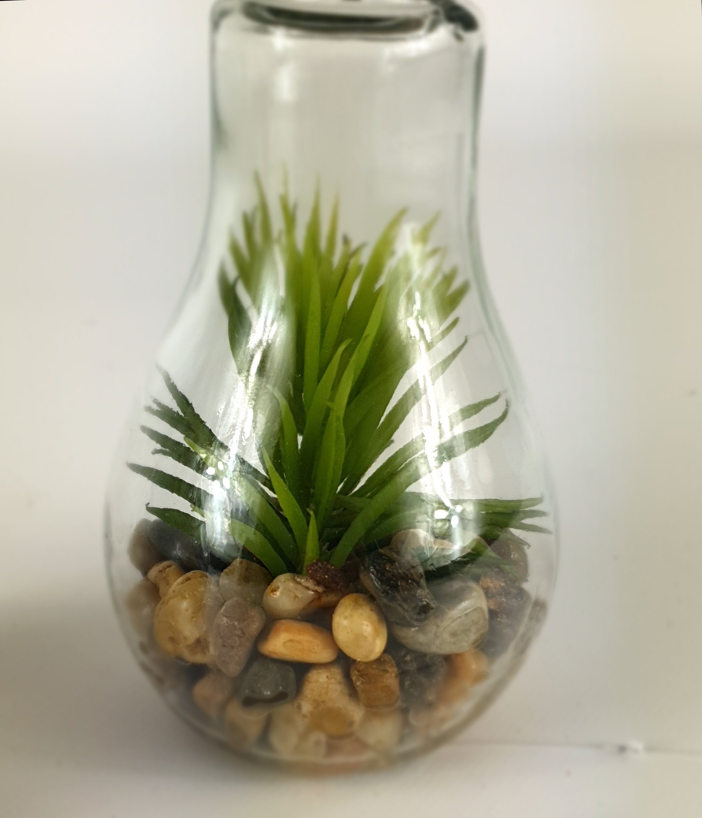 Thomas Philipps Kunstpflanze, Dekolicht Hängelampe warmweiß LED Dekolampe LED Glas Glühbirne Beleuchtung Deko