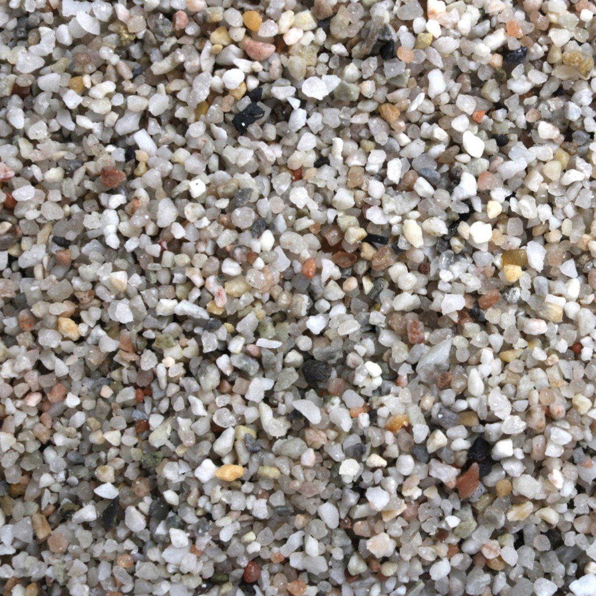Europet-Bernina Aquarienkies Aquarienkies hell und fein 2 kg