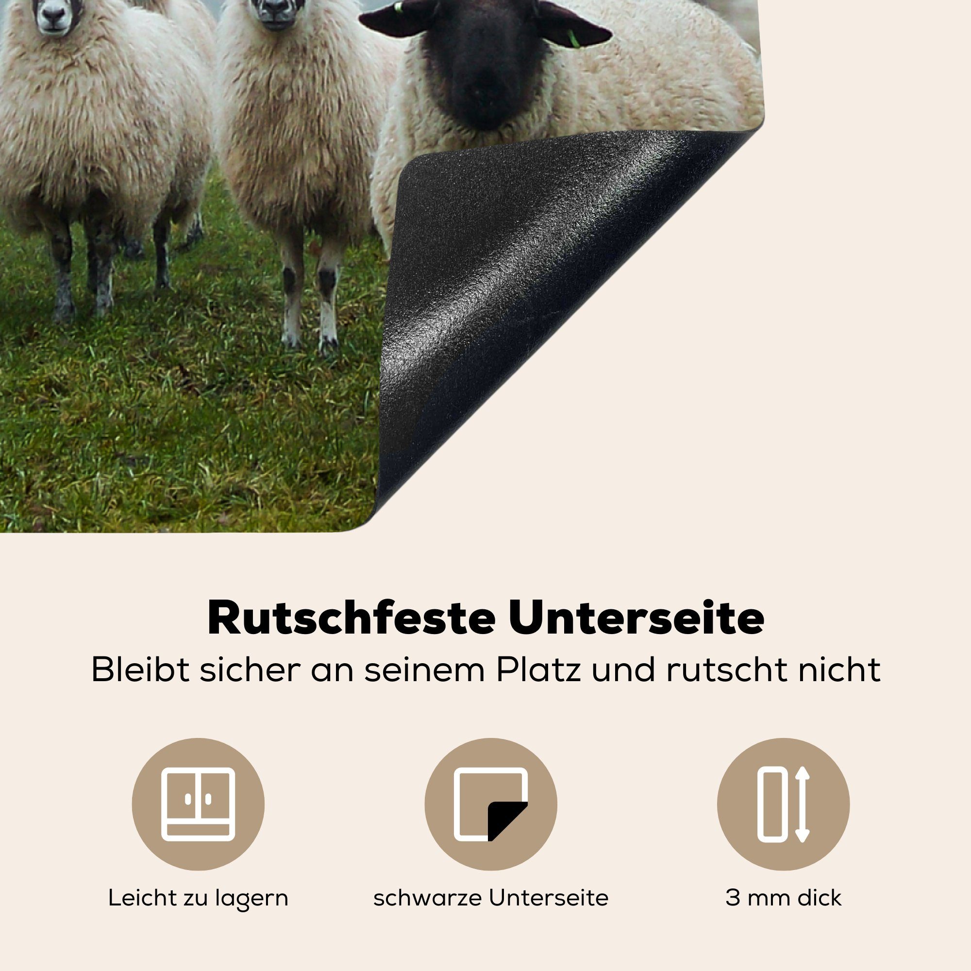 küche (1 Schaf Ceranfeldabdeckung, Nebel, Arbeitsplatte cm, tlg), für - 78x78 Baum Herdblende-/Abdeckplatte - Vinyl, MuchoWow