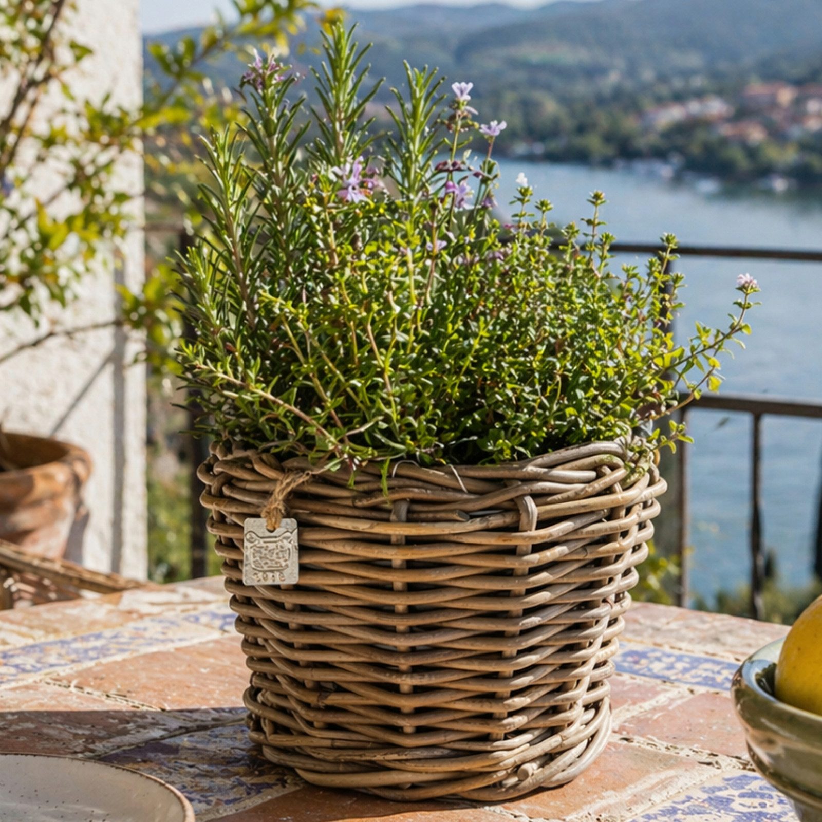 Van der Leeden Blumentopf Blumenkorb Pflanzkorb Topf 27x22cm Rattan Sylter Korb Drypot 4,5L (1 St), Indoor & Outdoor, Rattan, 4,5 L, Naturprodukt, incl. Kunststoffeimer