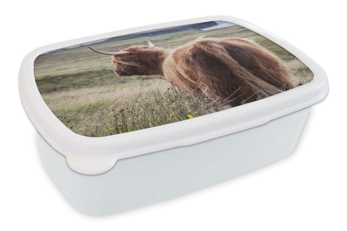 MuchoWow Lunchbox Schottische Highlander - Natur - Meer, Kunststoff, (2-tlg), Brotbox für Kinder und Erwachsene, Brotdose, für Jungs und Mädchen weiß