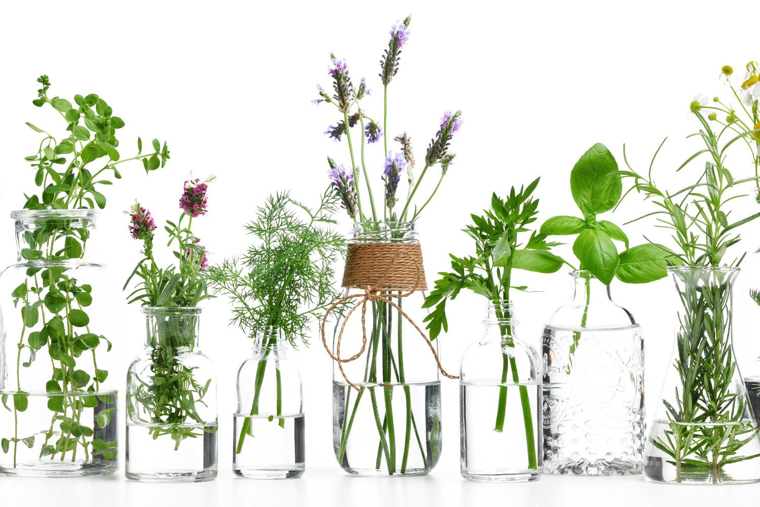 queence Küchenrückwand Kräuter Blumen in Gläser - Spritzschutz Wandschutz für Herd & Spüle, (1-tlg), inkl. Klebepads und Saugnäpfen für eine flexible Befestigung