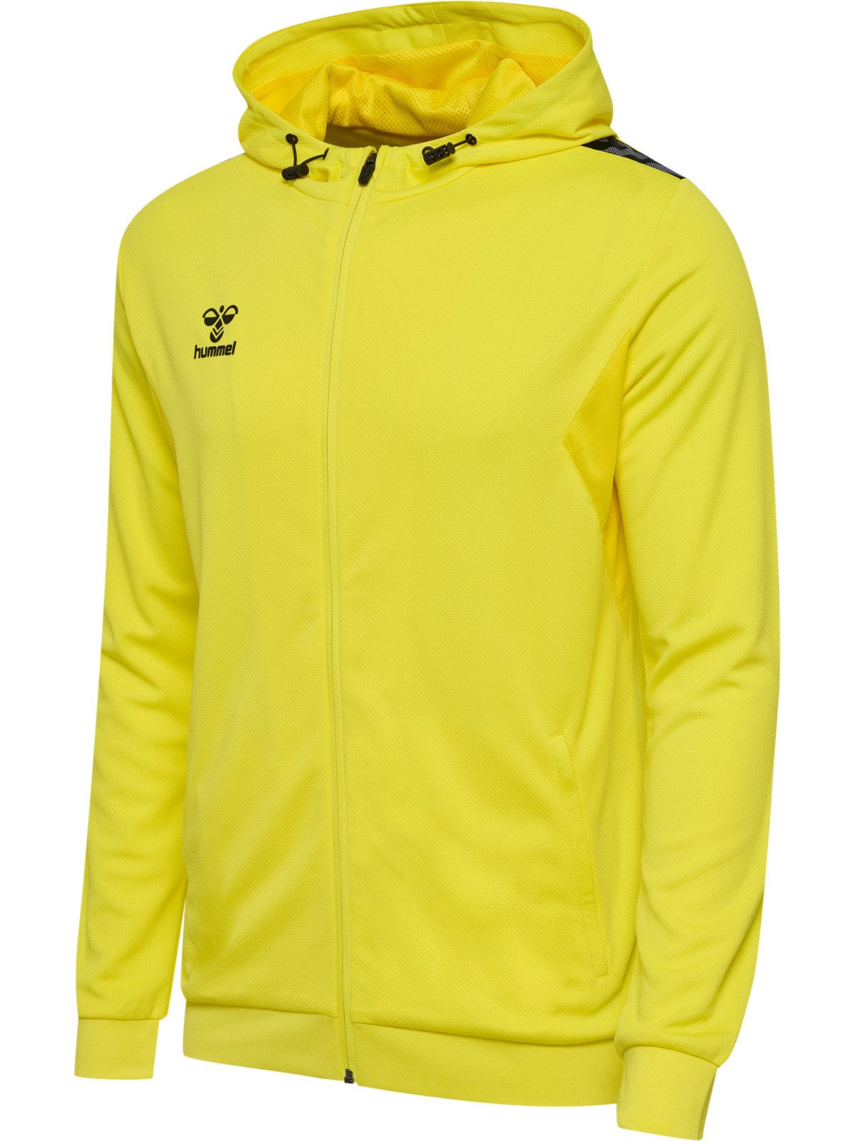Sweatshirt hmlAUTHENTIC PL ZIP HOODIE