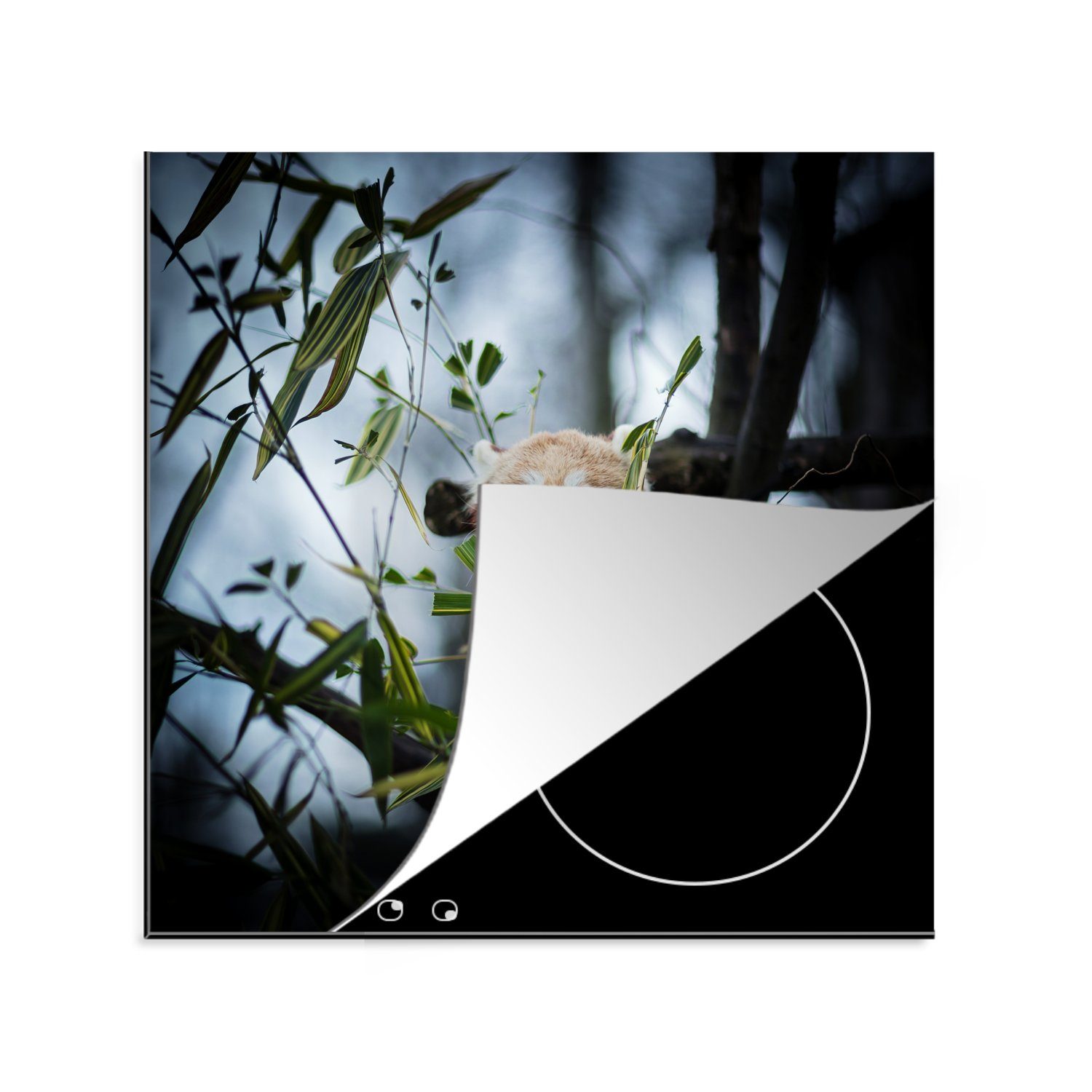 Pflanzen Herdblende-/Abdeckplatte MuchoWow (1 cm, 78x78 Vinyl, - Panda küche Ceranfeldabdeckung, Arbeitsplatte - tlg), Zweige, für