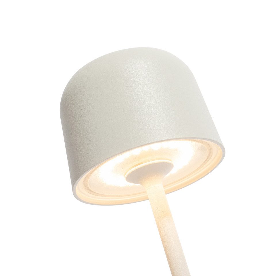 Qazqa Außen-Stehlampe Raika, LED fest integriert, günstig online kaufen