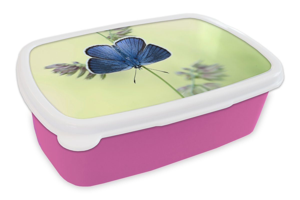 MuchoWow Lunchbox Blauer Schmetterling, Kunststoff, (2-tlg), Brotbox für Erwachsene, Brotdose Kinder, Snackbox, Mädchen, Kunststoff rosa
