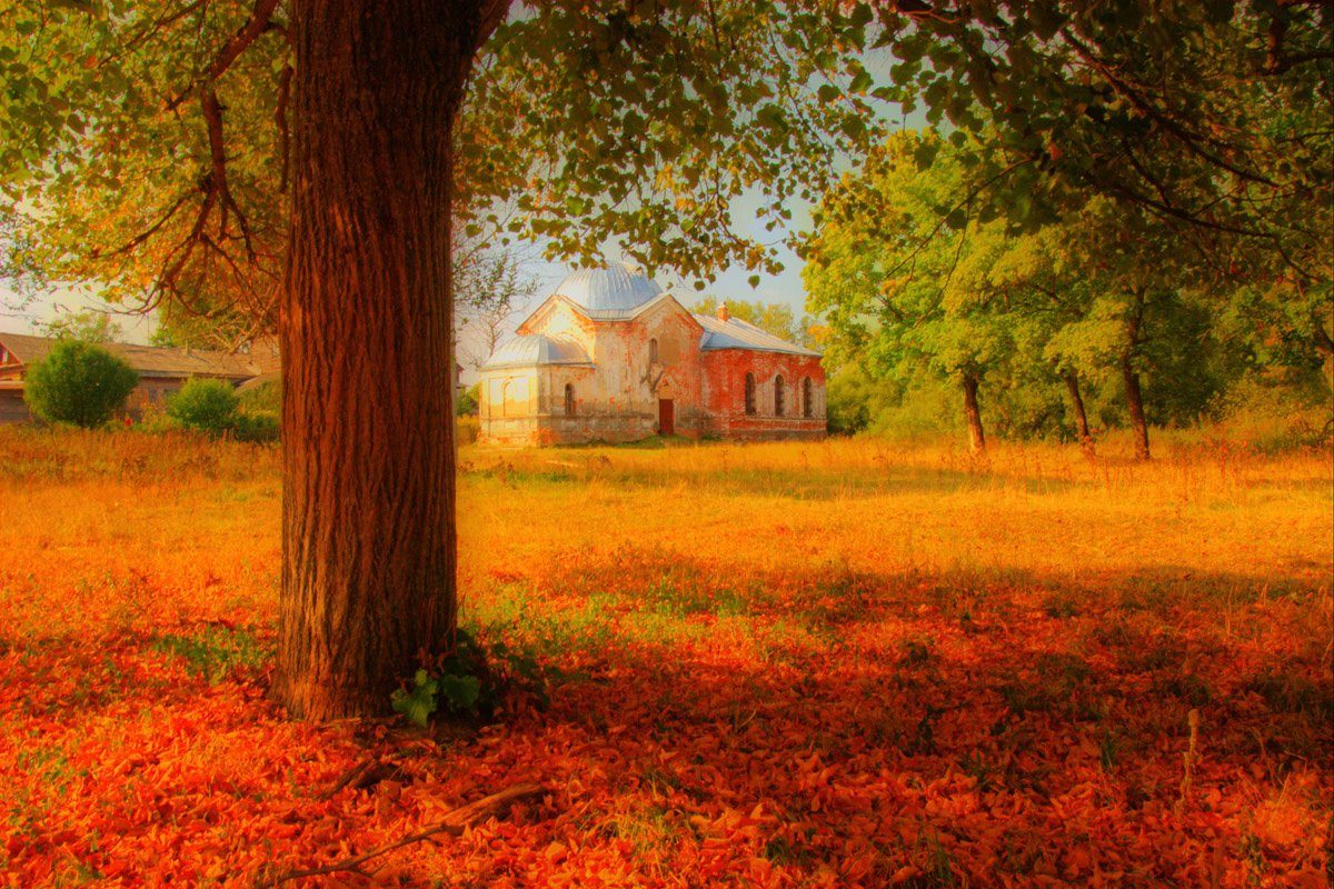 Papermoon Fototapete Herbstlandschaft