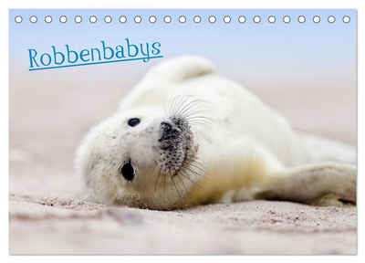 CALVENDO Wandkalender Robbenbabys (Tischkalender 2024 DIN A5 quer), CALVENDO Monatskalender