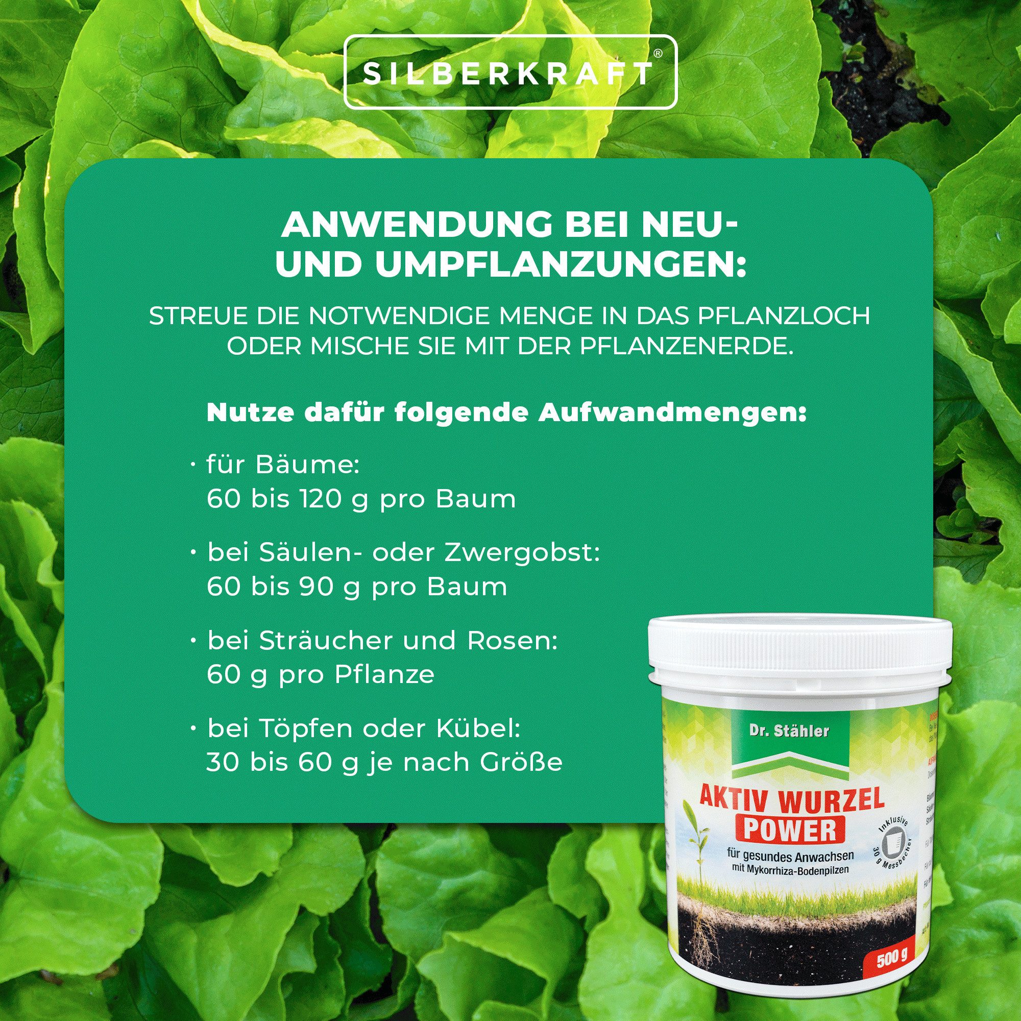 Silberkraft Pflanzenstärkungsmittel Aktiv Wurzel Power- Pflanzenstärkung mi günstig online kaufen