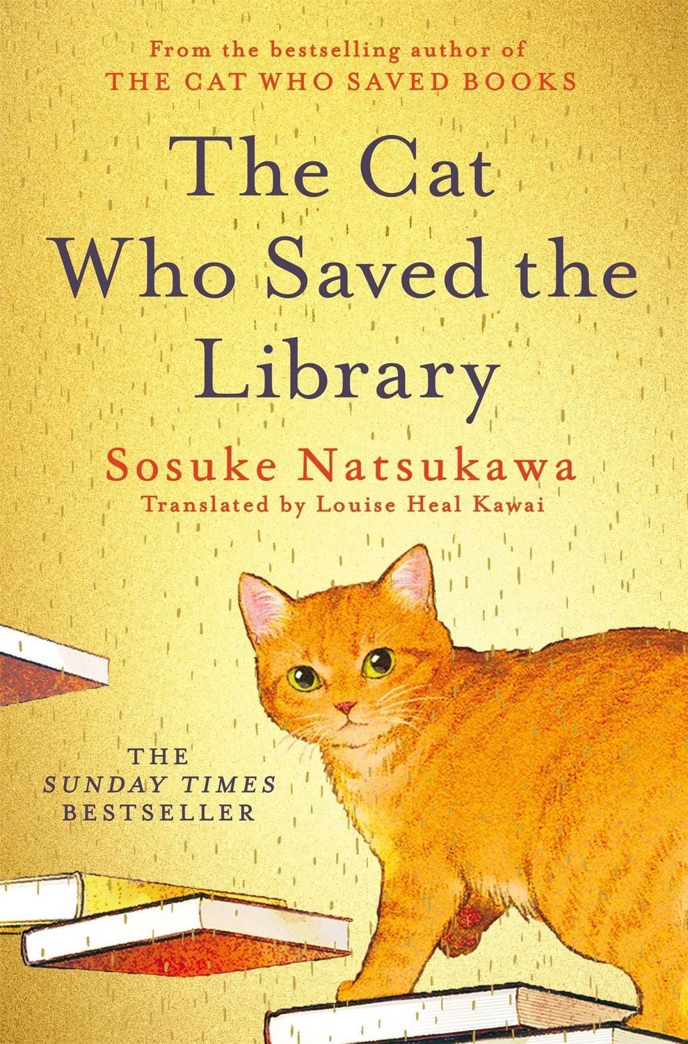The Cat Who Saved the Library / Sosuke Natsukawa