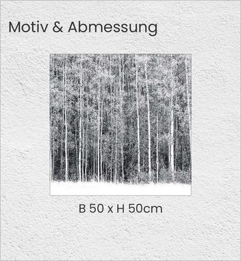 MyMaxxi Möbelfolie Tischfolie Wald in Aspen schwarz weiß Bubblefree selbstklebend Folie