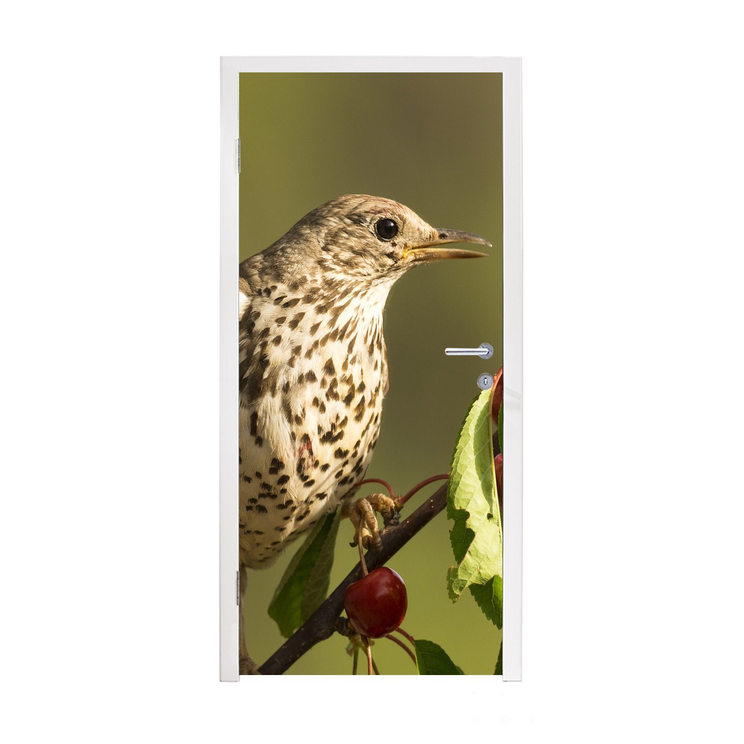 MuchoWow Türtapete Vogel auf einem 75x205 Matt, Fototapete (1 bedruckt, Tür, St), für Türaufkleber, Ast, cm