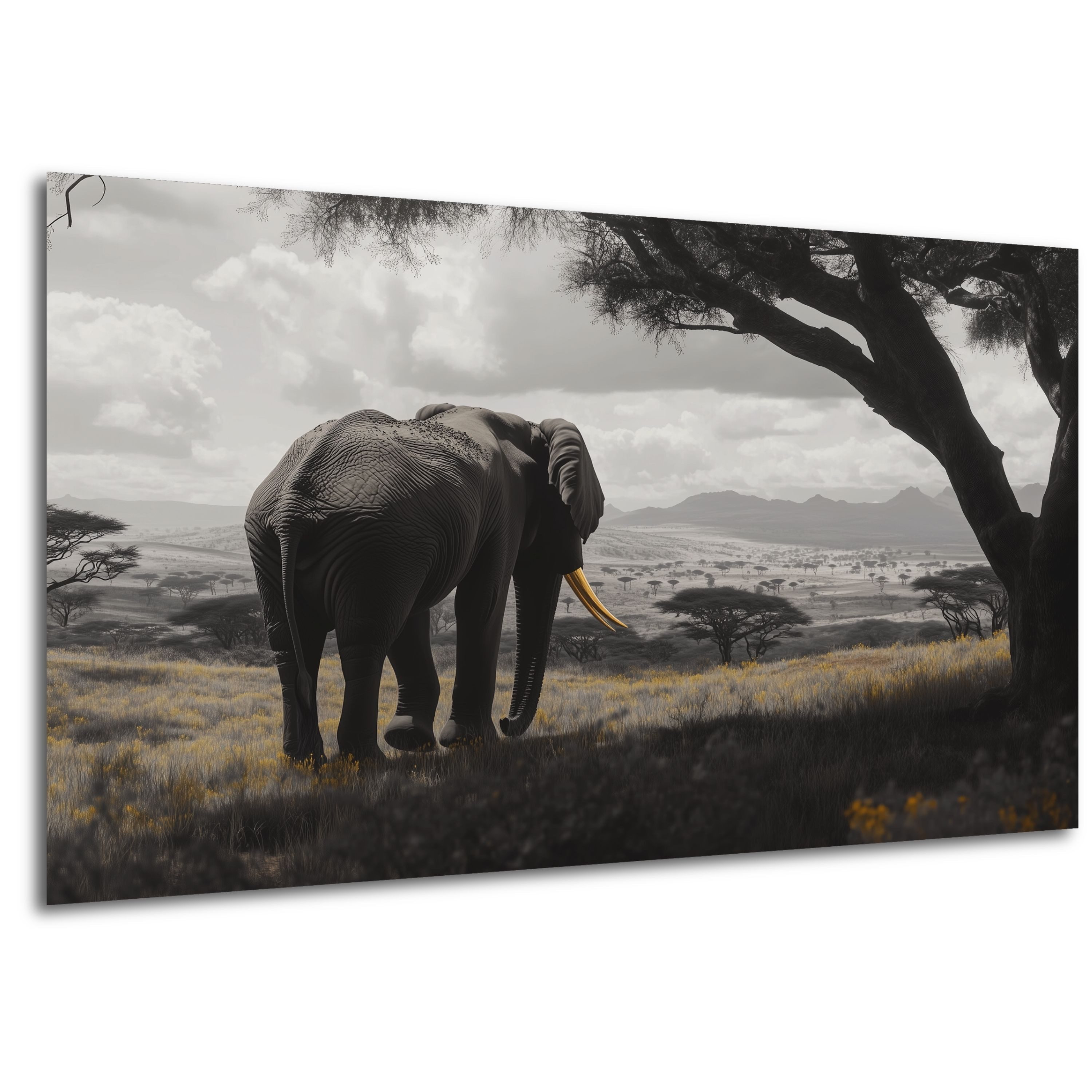 DARO Design Leinwandbild Modern Abstrakt Wandbilder günstig online kaufen
