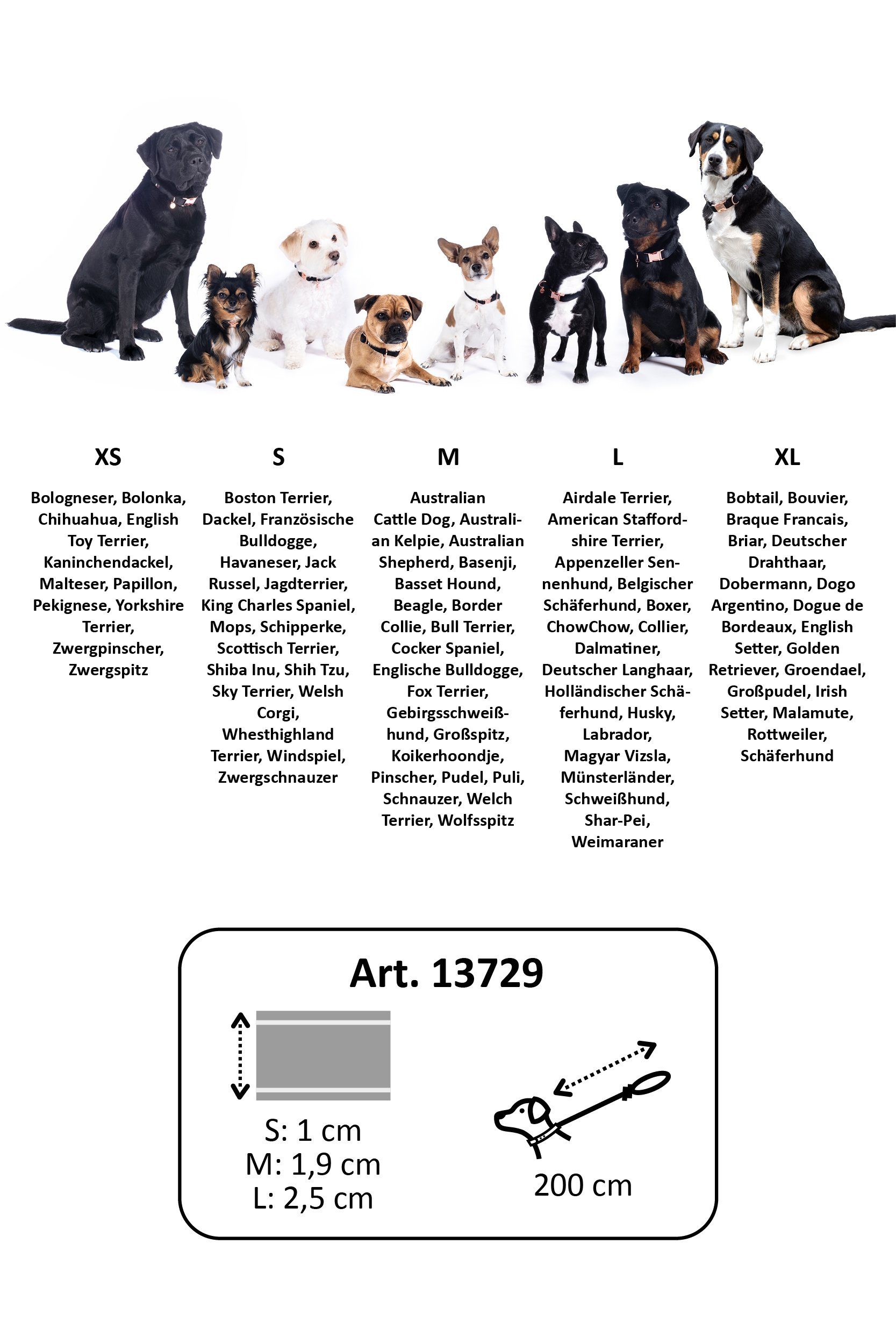 Dogs Nylon, 2,5 verschiedenen cm erhältlich, cm/M: Artikel Cara- cm/L: in Nylon, Breiten 1,9 (9100) HKM -Anam S: Hundeleine 100% 1 Größe Hundetrainingsleine schwarz