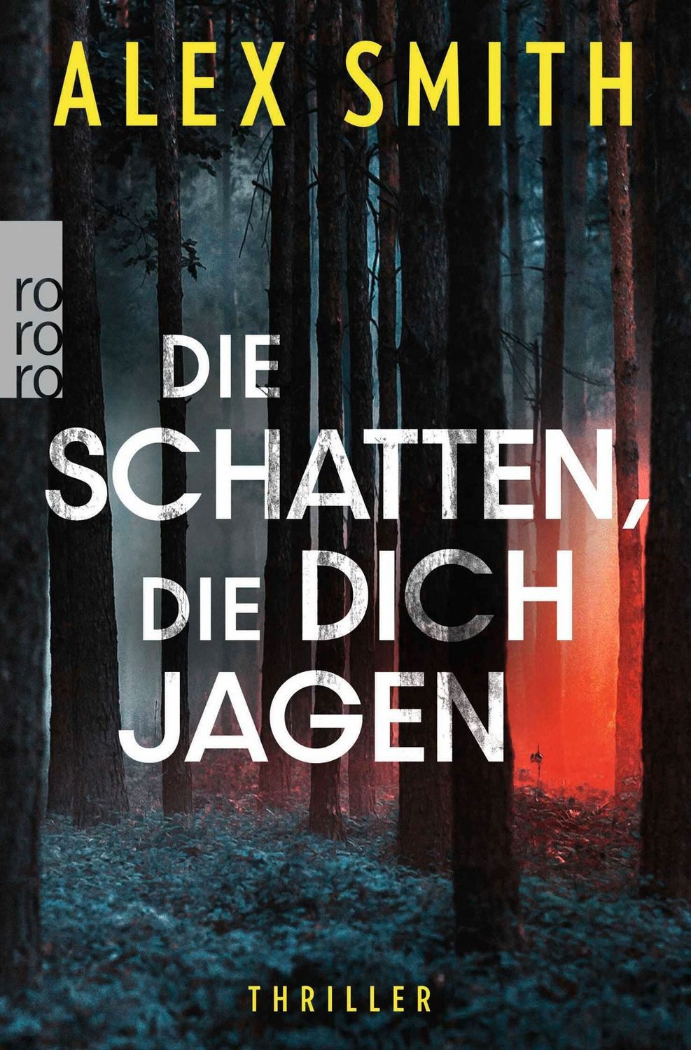 Die Schatten, die dich jagen / Alex Smith