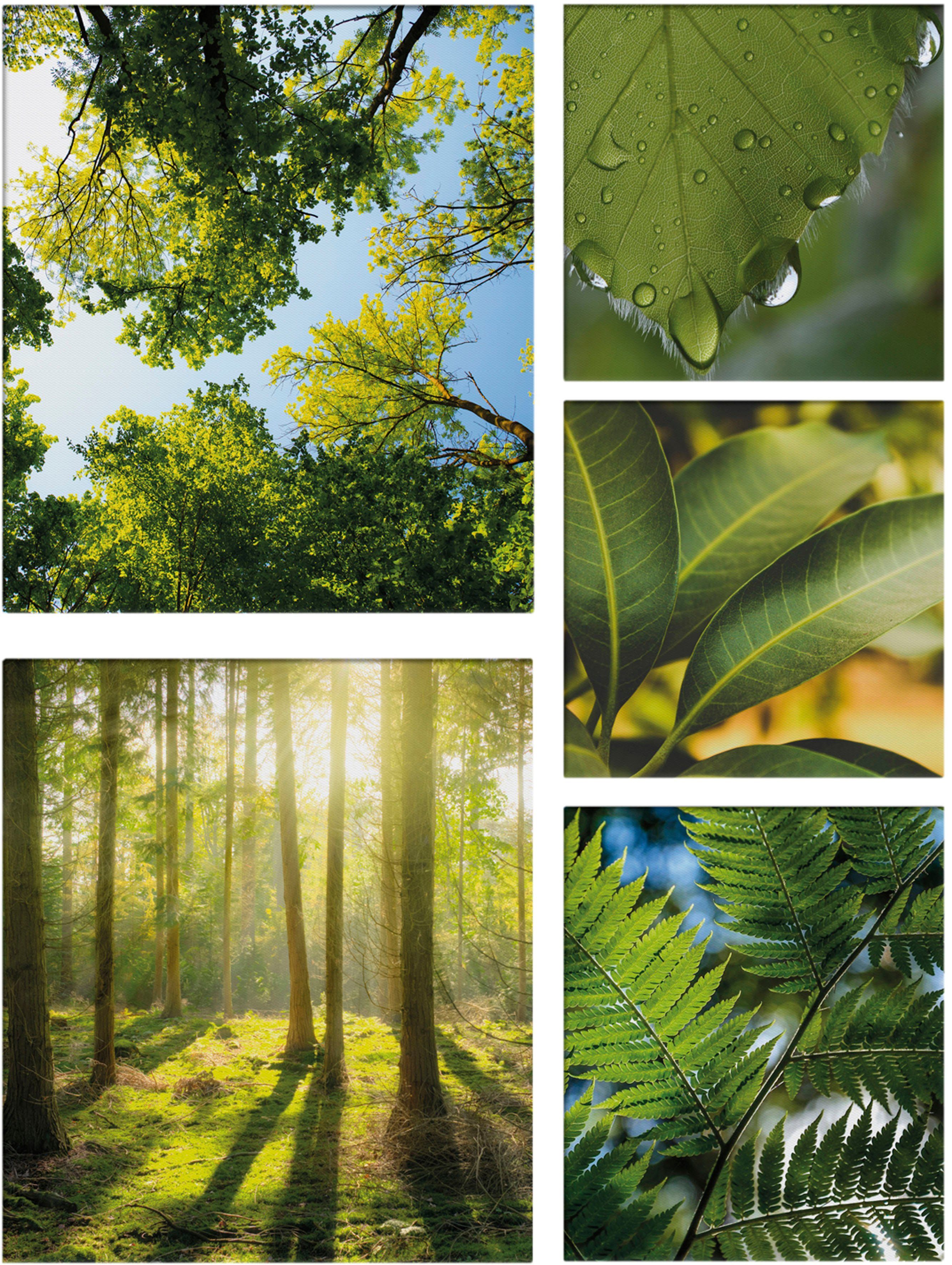 Art for the home Leinwandbild Pure Natur, Landschaft (Set), grüne Stille SET 5-teilig 80x60 cm