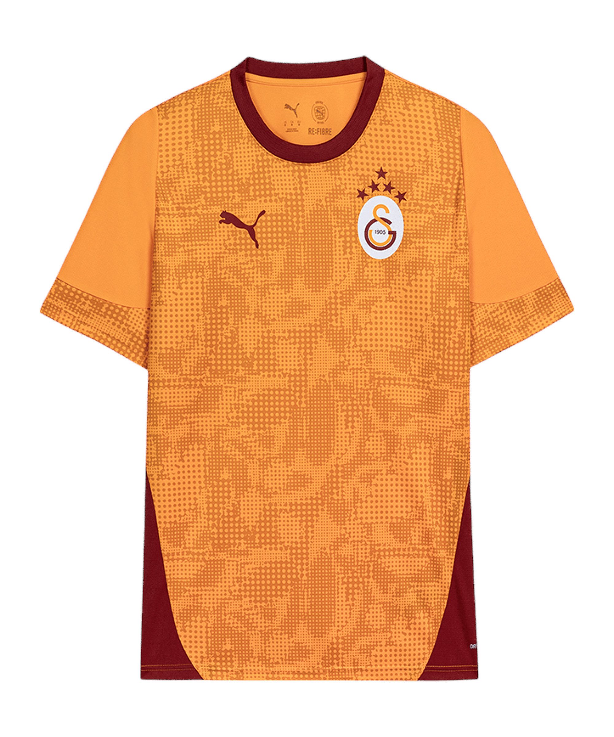 PUMA Fußballtrikot PUMA Galatasaray Istanbul Training Trikot Teamsport