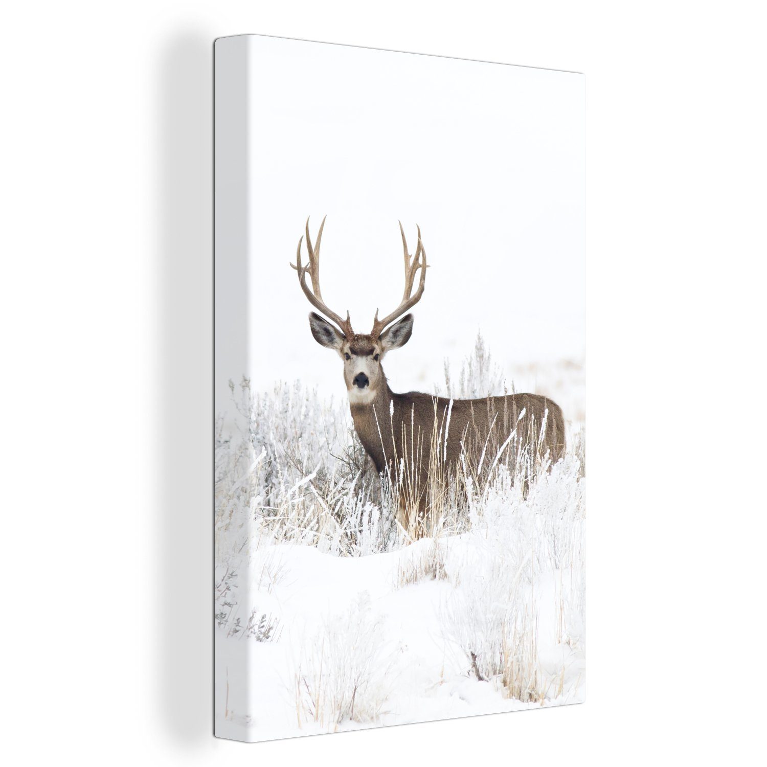 OneMillionCanvasses® Leinwandbild Hirsche - Winter - Schnee - Tiere - Jahre günstig online kaufen