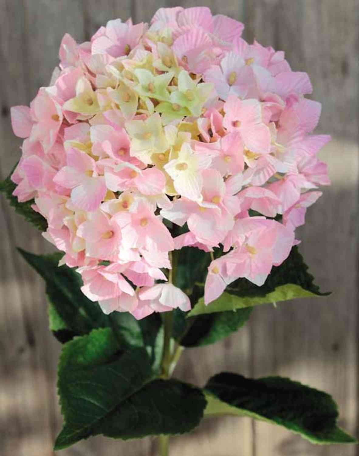 Kunstblume Deko Hortensie Hermine, rosa-grün, 65cm, Ø16cm Hortensie, artplants, Höhe 55.0 cm