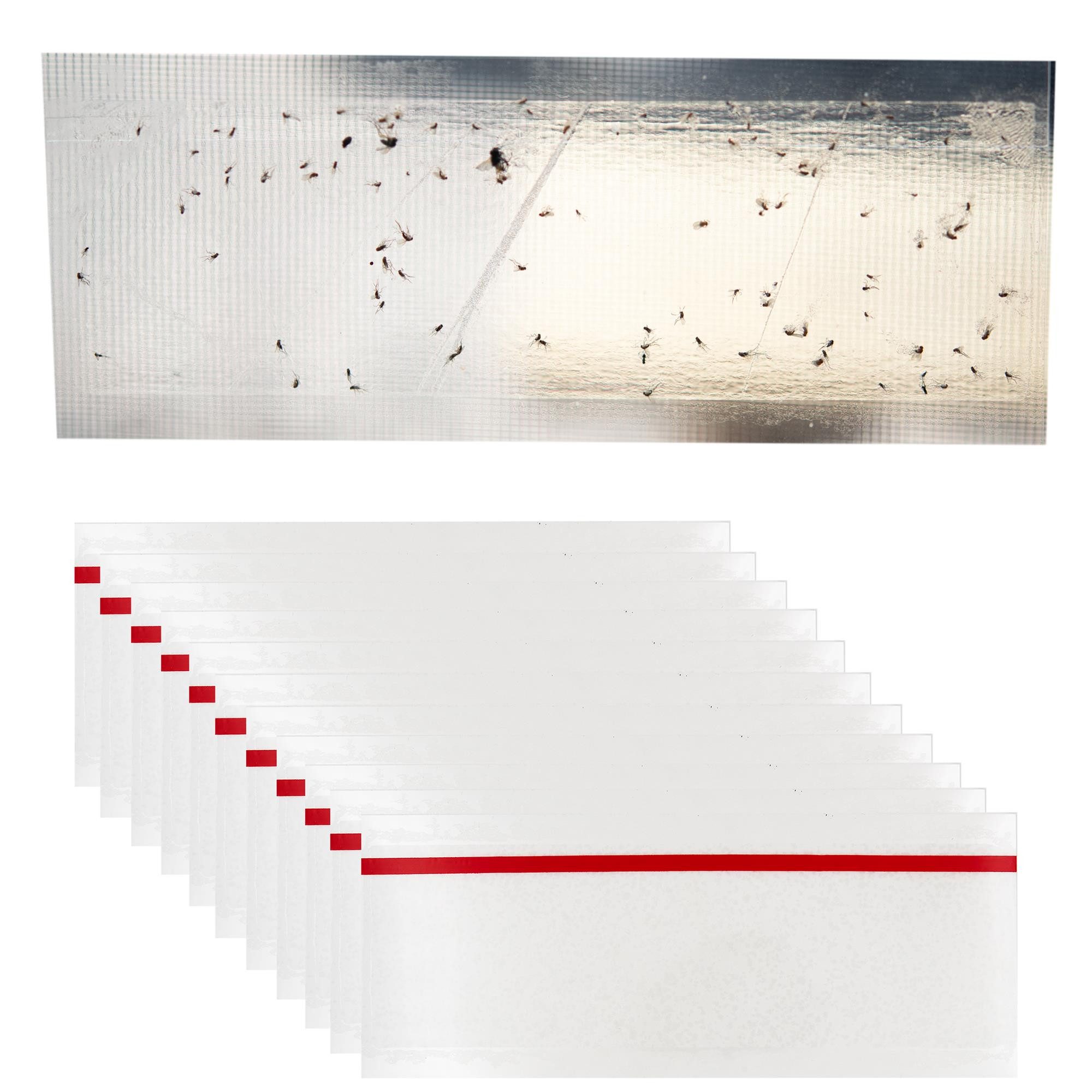 TSB Werk Insektenschutz-Vorhang Fliegenfalle Fenster Leimfalle günstig online kaufen
