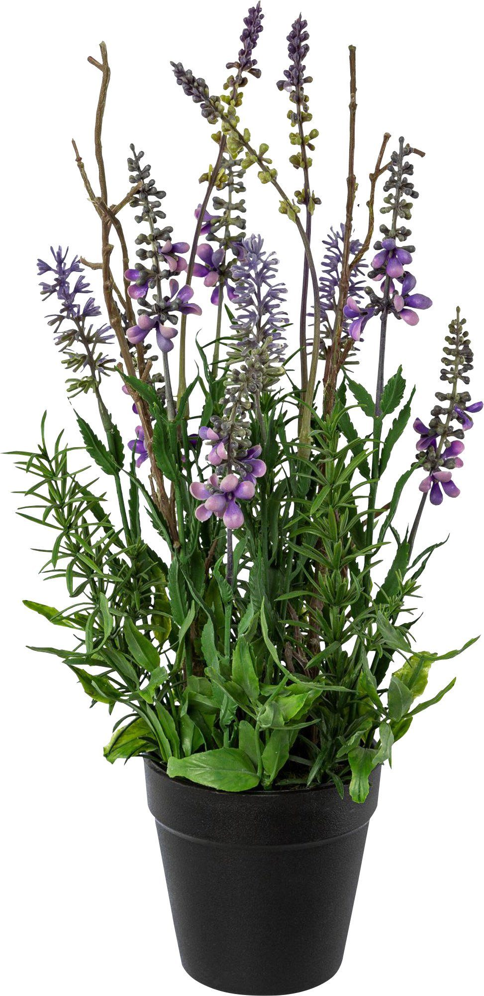 Kunstpflanze Kunstpflanze Lavendel günstig online kaufen