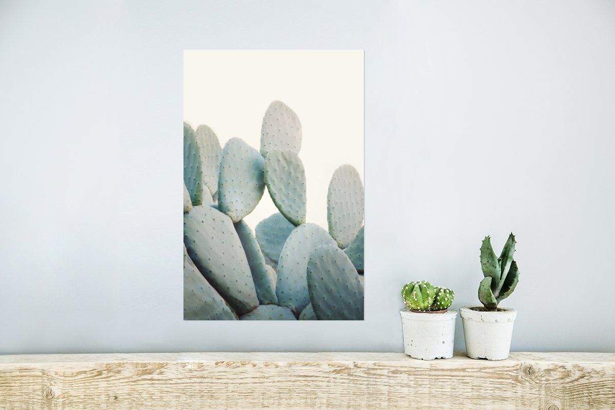 Poster, - Pflanze Kaktus Wohnzimmer, für MuchoWow - Natur, Poster Wandbild, (1 Wandposter Grün - St), Rahmen Ohne