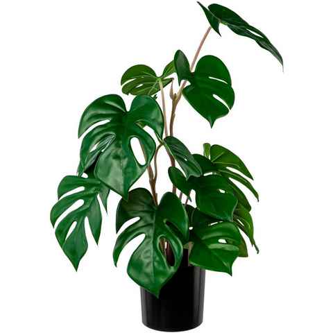Künstliche Zimmerpflanze Split-Philodendron-Pflanze Sukkulente, Creativ green, Höhe 50 cm