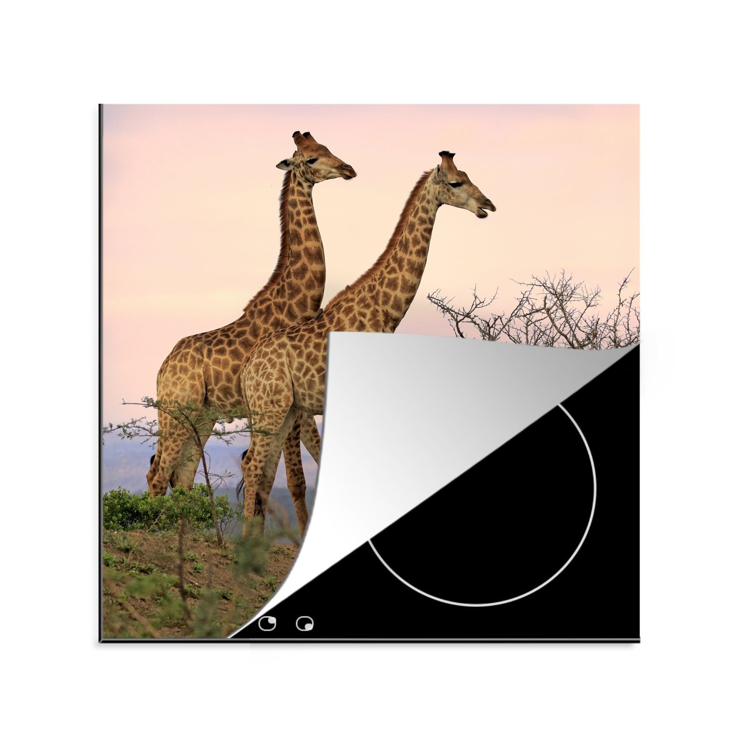 Giraffen küche Landschaft, - Vinyl, - cm, Ceranfeldabdeckung, Arbeitsplatte (1 Himmel tlg), MuchoWow für 78x78 Herdblende-/Abdeckplatte