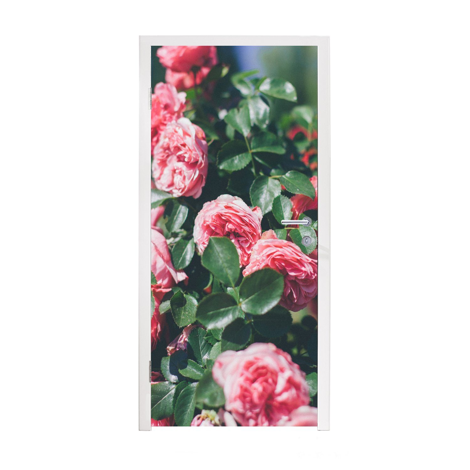 bedruckt, Türaufkleber, 75x205 MuchoWow (1 rosa Türtapete Schöne St), Matt, im Fototapete für Rose Tür, Sommergarten, cm
