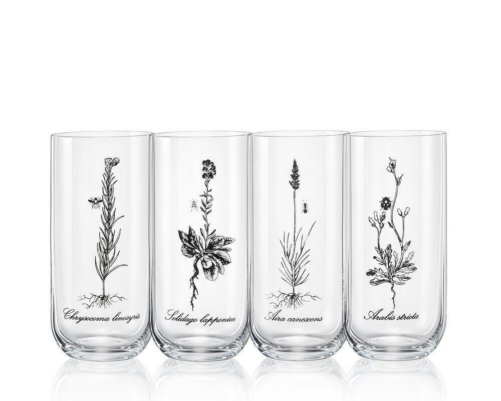 Crystalex Longdrinkglas Longdrinks Herbs Wiesenkräuter Kristallglas 440 ml 4er Set, Kristallglas, Kristallglas, 4 unterschiedliche Gläser, Bohemia