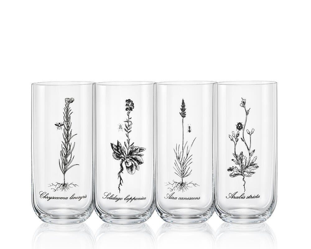 Longdrinkglas Longdrinks Herbs Wiesenkräuter Kristallglas 440 ml 4er Set