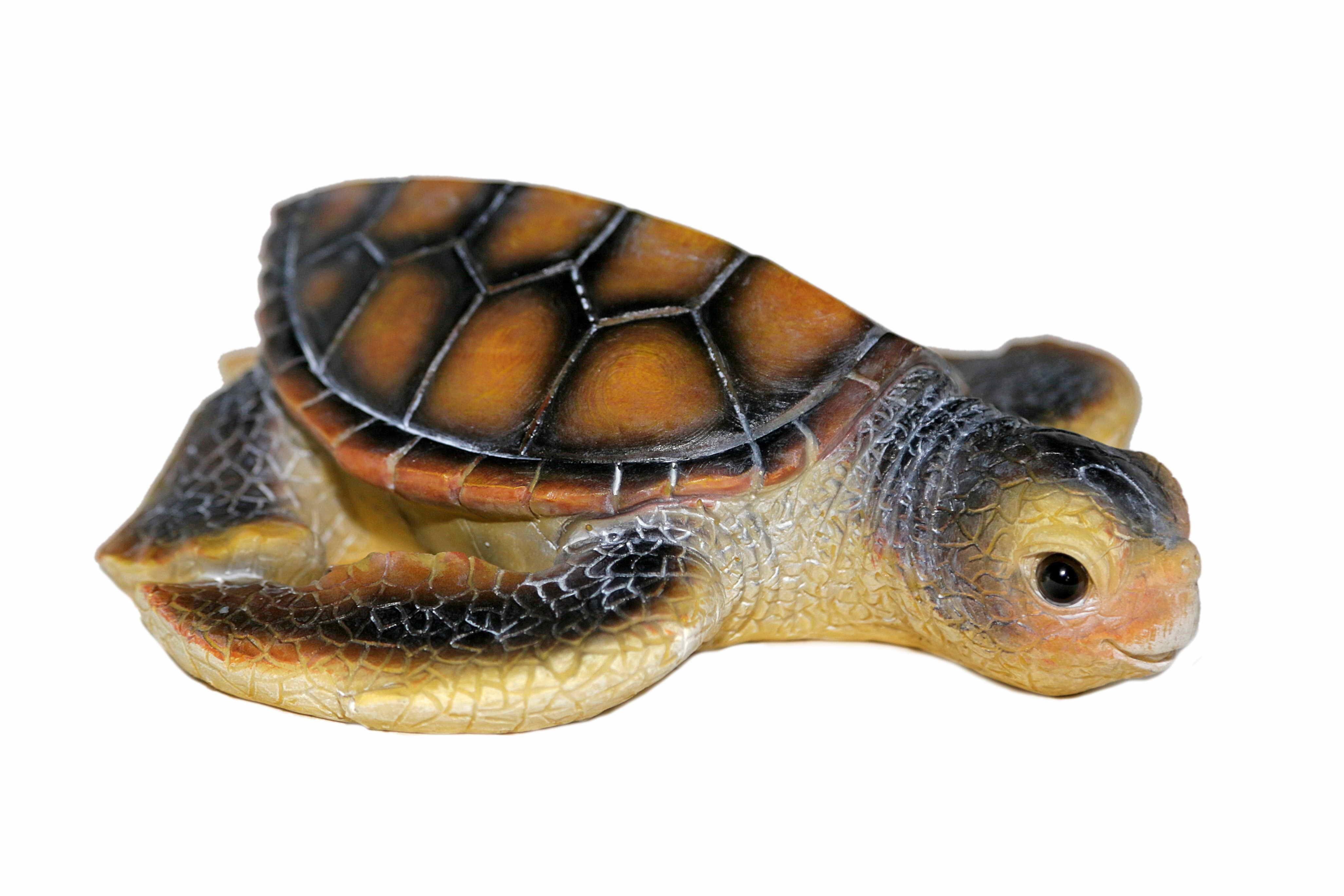 Casa Collection by Jänig Tierfigur Wasserschildkröte, Dekofigur, Tierfigur