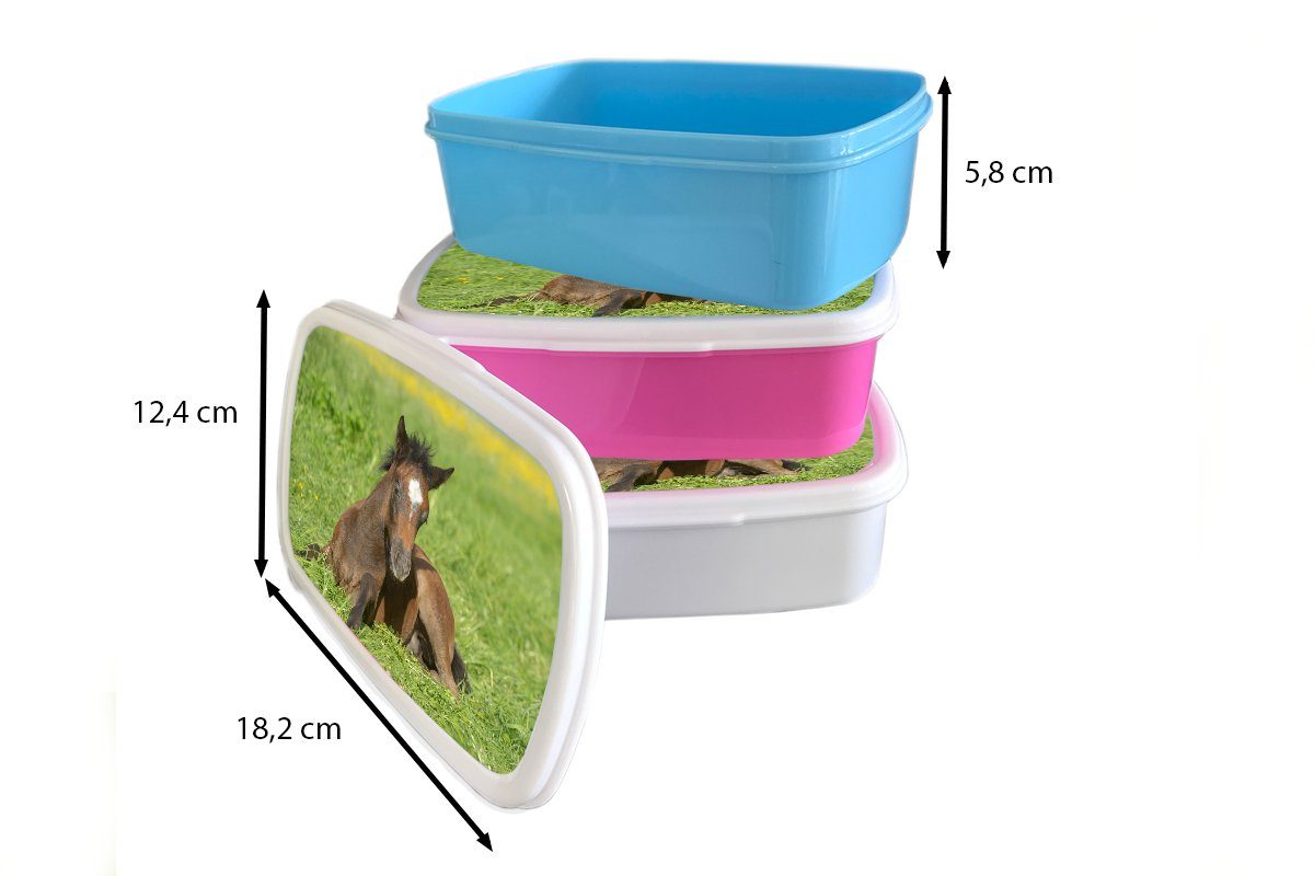 MuchoWow Lunchbox Snackbox, rosa (2-tlg), - Pferde Gras, Kunststoff, Brotbox Erwachsene, für - Kunststoff Kinder, Licht Brotdose Mädchen