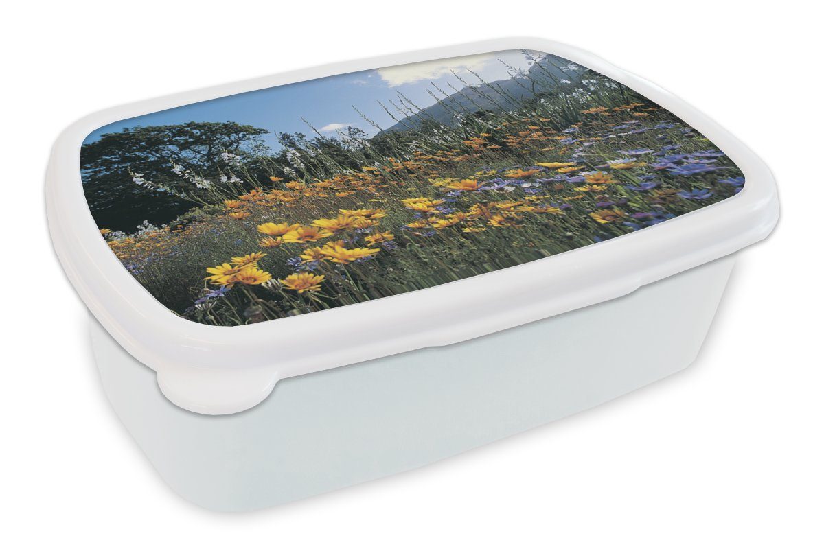 MuchoWow Lunchbox Blumen - Natur - Farbe, Kunststoff, (2-tlg), Brotbox für Kinder und Erwachsene, Brotdose, für Jungs und Mädchen weiß | Lunchboxen