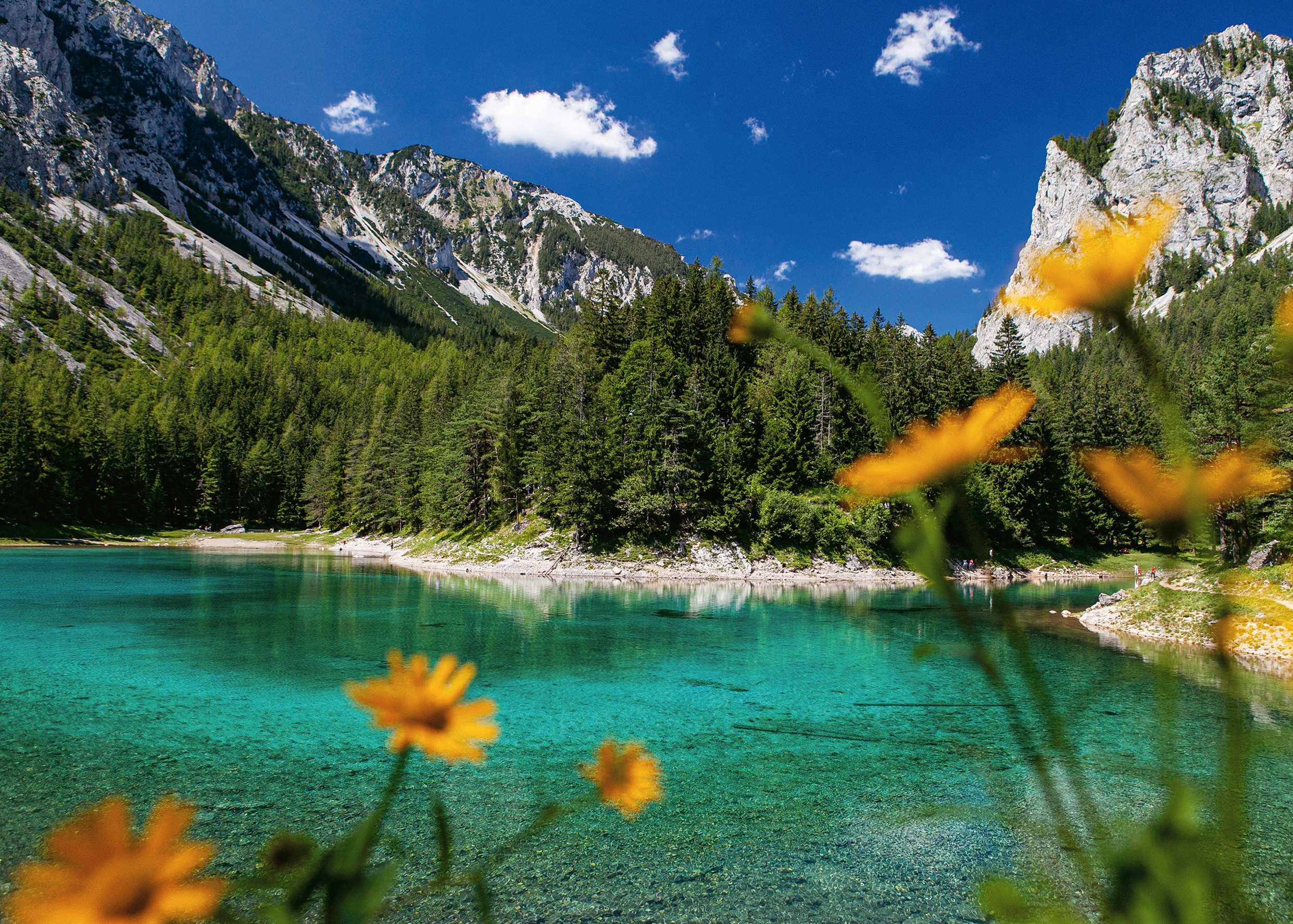 Ravensburger Puzzle Österreich Collection, Grüner See günstig online kaufen