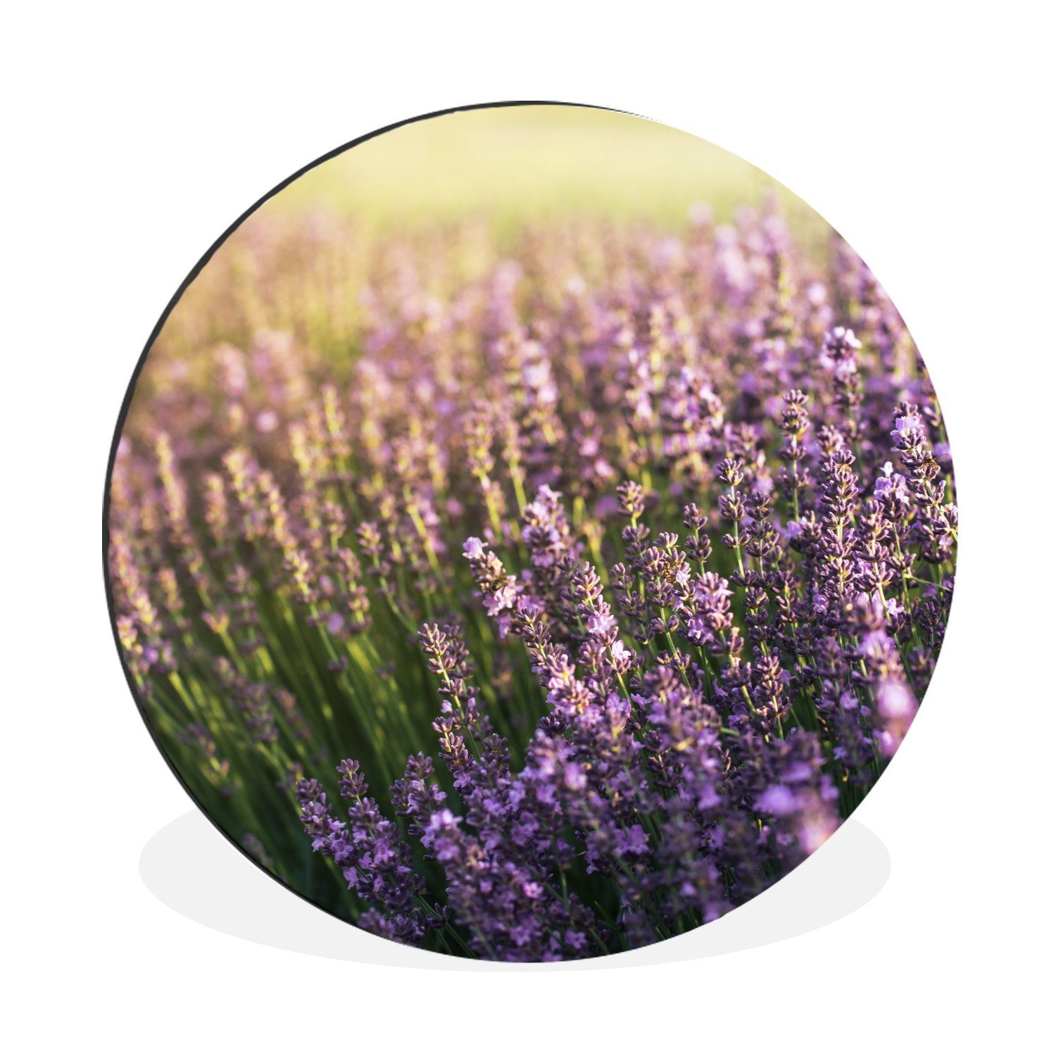 MuchoWow Gemälde Wandbild Rund Wanddeko Deko Wohnzimmer Bilder, (1 St)