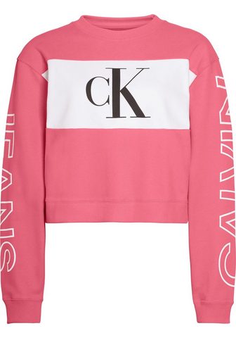 CALVIN KLEIN JEANS Calvin KLEIN джинсы кофта спортивного ...