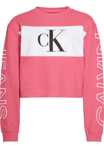 CALVIN KLEIN JEANS Calvin KLEIN джинсы кофта спортивного ...