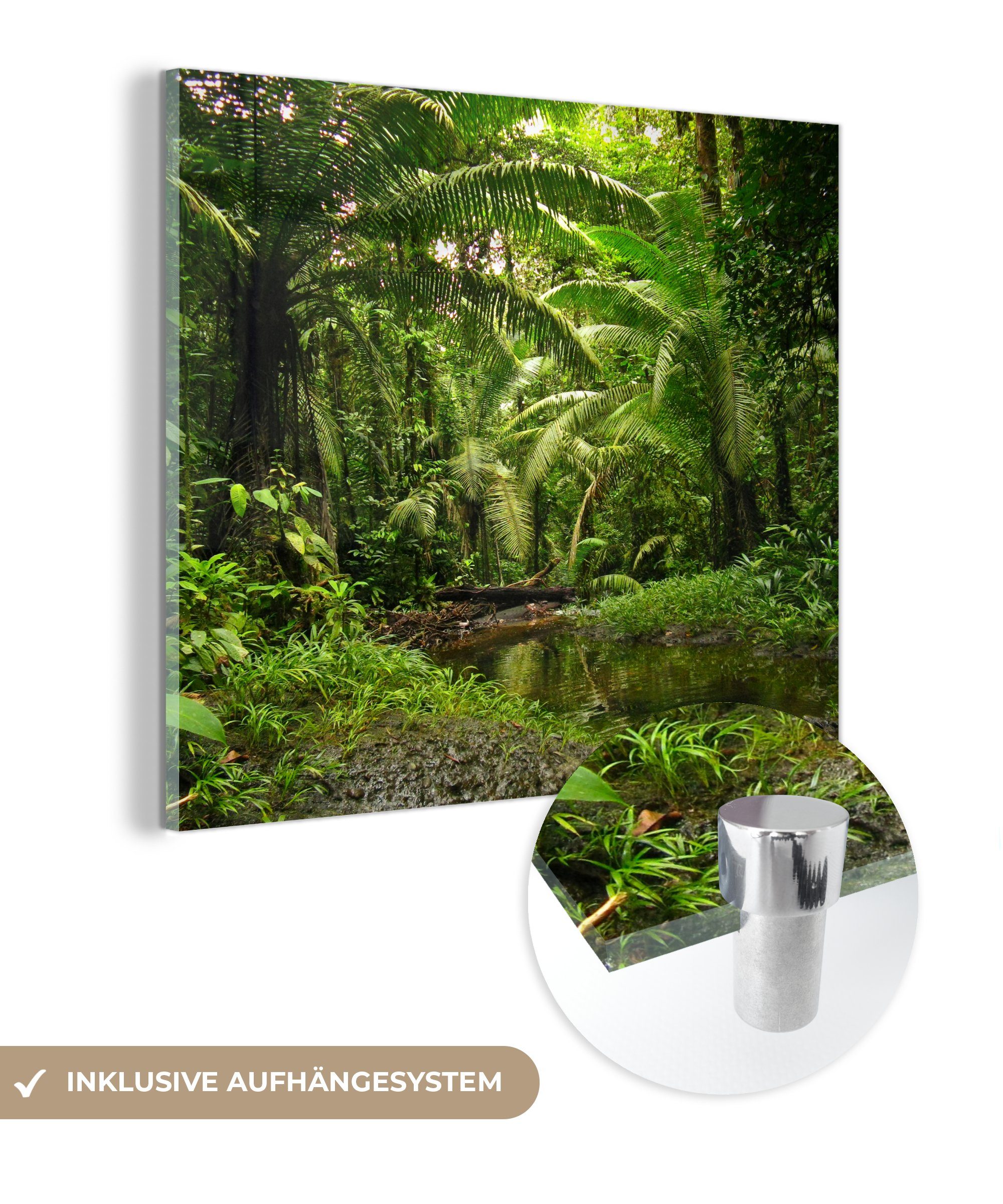 - - Glas in St), (1 Wanddekoration Glas Bilder Tropischer Regenwald - Glasbilder Kolumbien, Acrylglasbild MuchoWow auf Wandbild auf Foto