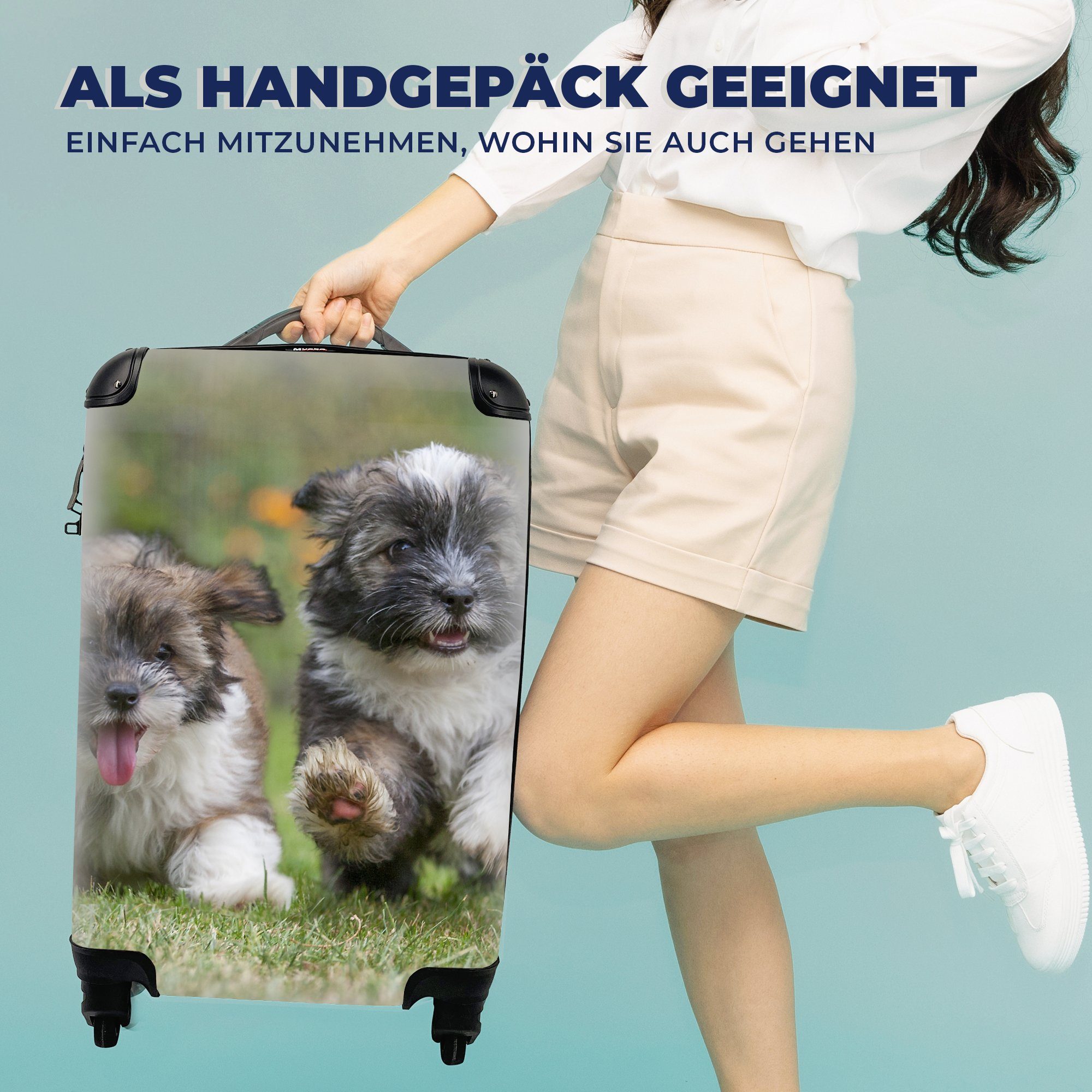 Trolley, - Tiere, Handgepäck Handgepäckkoffer Reisetasche Welpen 4 für Reisekoffer mit MuchoWow Ferien, Hunde - rollen, Rollen,