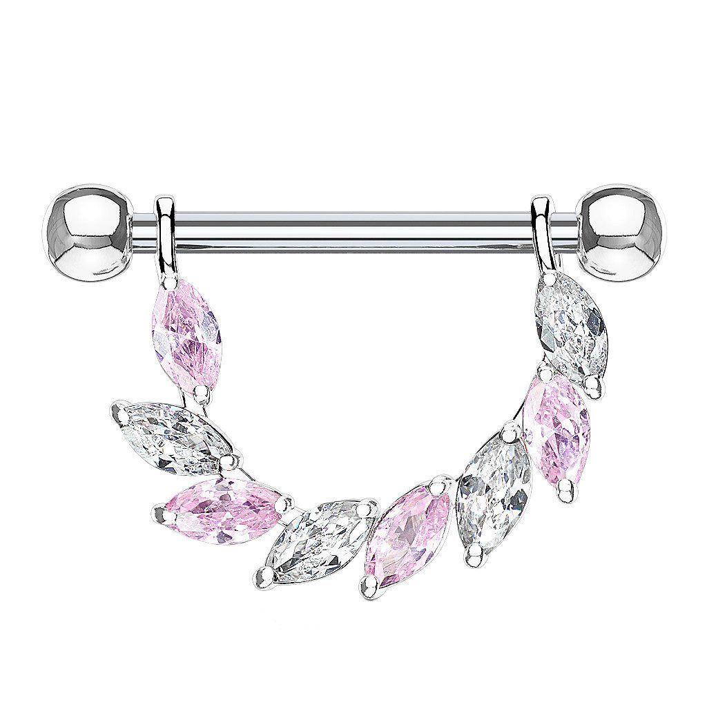 Taffstyle Intimpiercing Nippelpiercing Brustwarzenpiercing Barbell Kristall günstig online kaufen