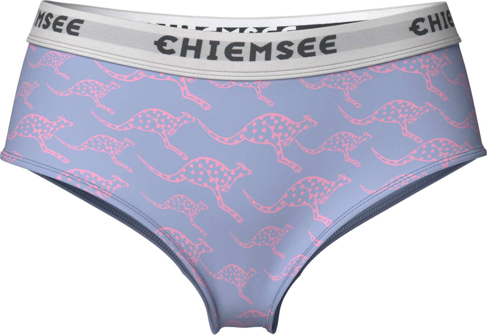 Chiemsee Hipster Girls 2er Pack mit Kangaroo Print Trendige Unterwäsche für Mädchen – Bild 2 von 3