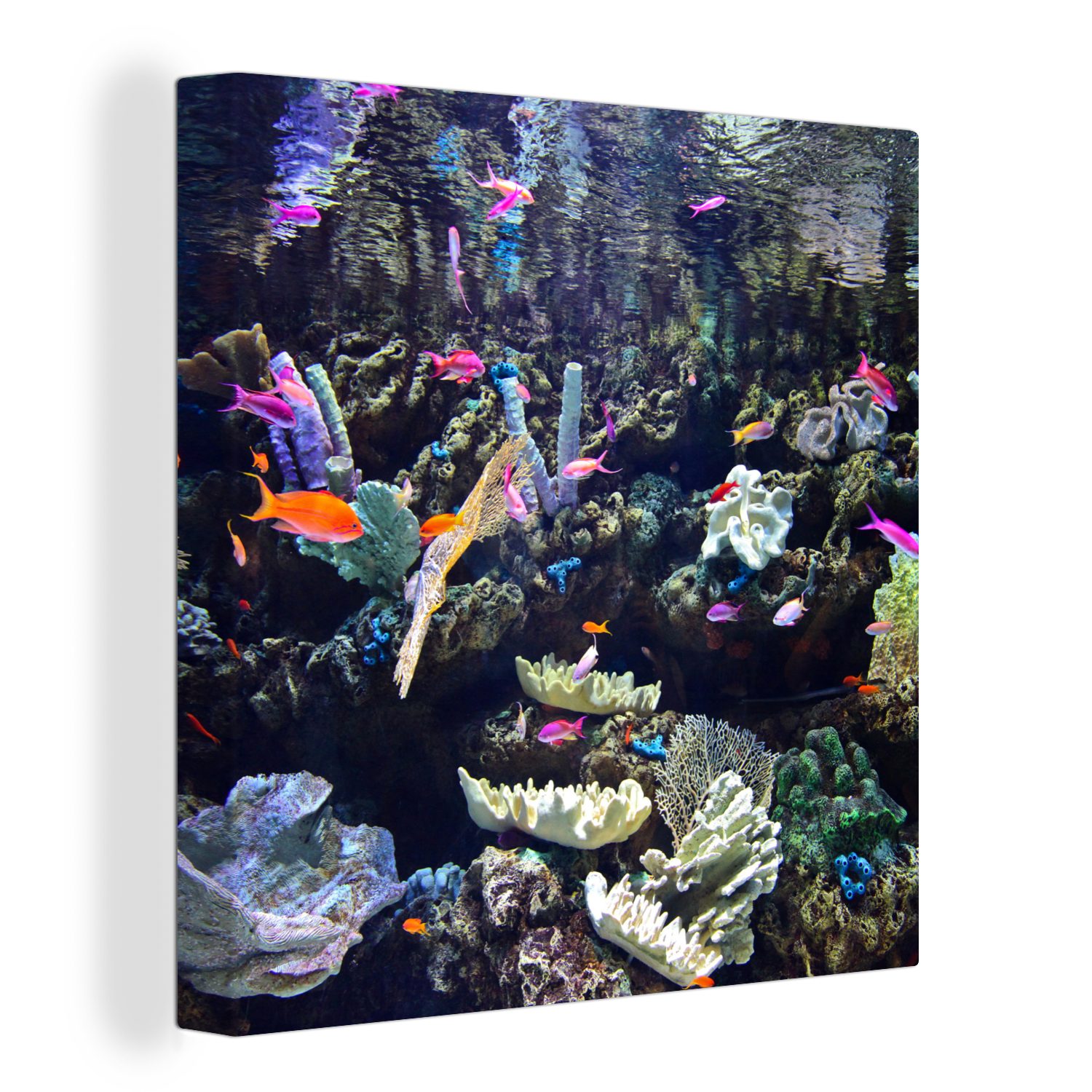 OneMillionCanvasses® Leinwandbild Buntes Aquarium, (1 St), Leinwand Bilder für Wohnzimmer Schlafzimmer