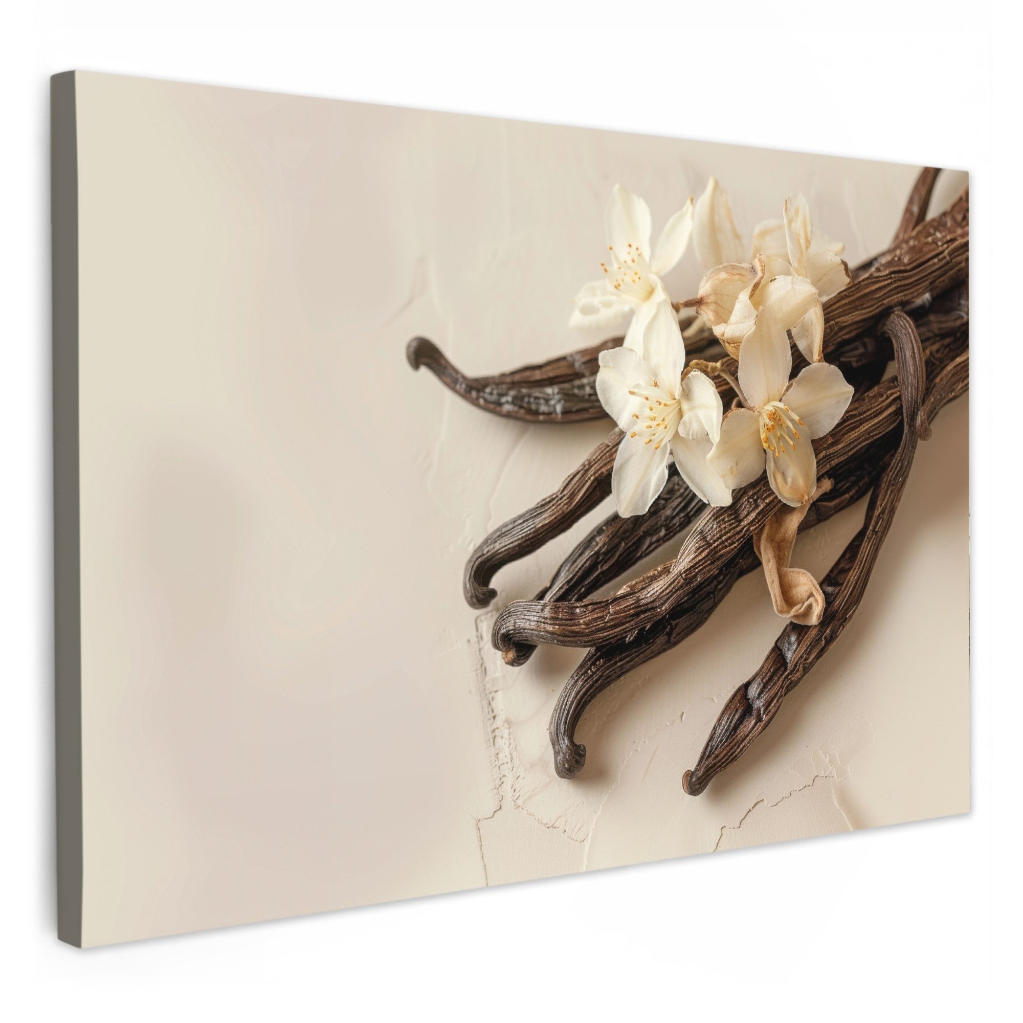 OneMillionCanvasses® Leinwandbild Vanille - Geblümt - günstig online kaufen