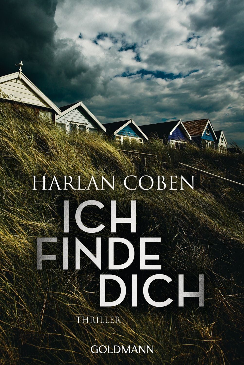 Ich finde dich / Harlan Coben